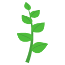 herb