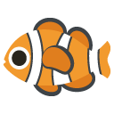 tropical fish