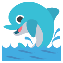 dolphin