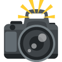 camera with flash
