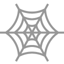 spider web